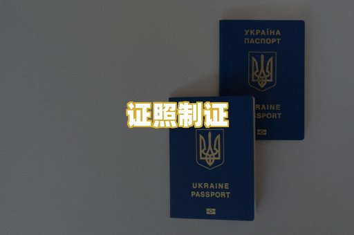 证照制证